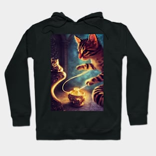 Cat Wizard and Kitten apprentice Hoodie